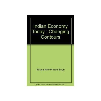 9788176295574: Indian Economy Today : Changing Contours