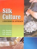 Stock image for Silk Culture for sale by Books Puddle