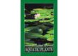 9788177540376: A Manual of Aquatic Plants