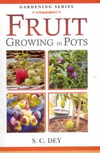 Imagen de archivo de Fruit Growing in Pots (PB) a la venta por Books in my Basket