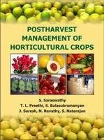 Stock image for Post Harvest Management of Horticultural Crops for sale by Books Puddle