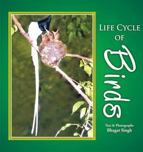 9788178062037: Life Cycle of Birds