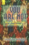 Imagen de archivo de You Are Not : Beyond the Three Veils of Consciousness a la venta por Better World Books