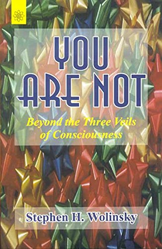 9788178222615: You Are Not: Beyond The Three Veils Of Consciousness