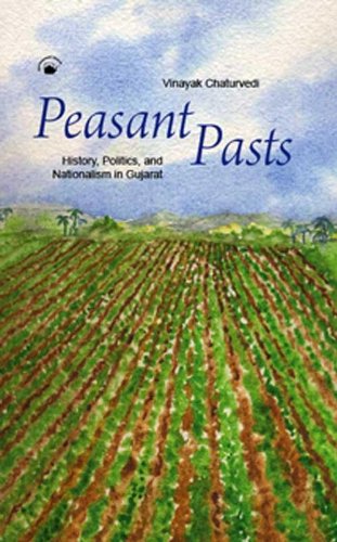 9788178242262: Peasant Pasts: History, Politics and Nationalism in Gujarat