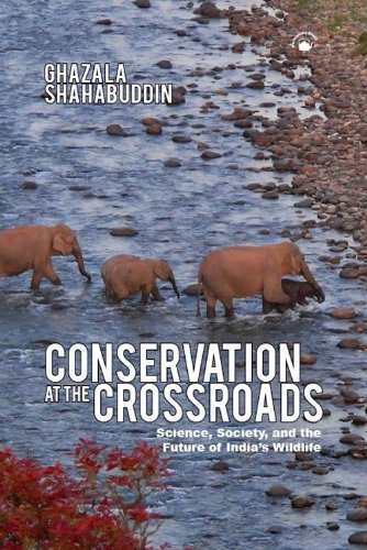 Stock image for Conservation at the Crossroads: Science, Society, and the Future of India's Wildlife for sale by Majestic Books