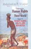 Beispielbild fr Implementing Human Rights in the Third World zum Verkauf von Books Puddle