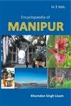 Stock image for Encyclopaedia of Manipur for sale by Books Puddle