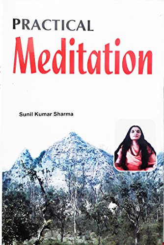 Stock image for Practical Meditation for sale by PBShop.store US