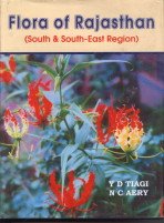 Stock image for Flora of Rajasthan: South and South-East Region for sale by Mispah books