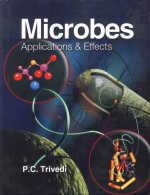 Stock image for Microbes for sale by Books Puddle