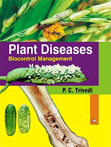Stock image for Plant Diseases : Biocontrol Management for sale by Books Puddle