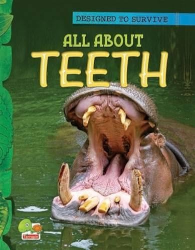 Imagen de archivo de All About Teeth a la venta por Books Puddle