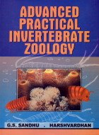 Stock image for Advanced Practical Invertebrate Zoology for sale by Vedams eBooks (P) Ltd