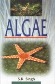Stock image for Algae for sale by Majestic Books