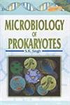 Beispielbild fr Microbiology of Prokaryotes zum Verkauf von Majestic Books