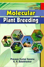 Stock image for Molecular Plant Breeding for sale by Mispah books