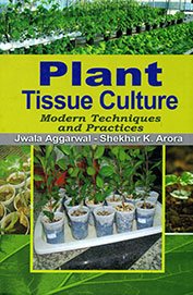 Beispielbild fr Plant Tissue Culture : Modern Techniques and Practices zum Verkauf von dsmbooks