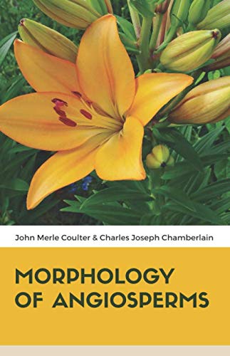 Stock image for MORPHOLOGY OF ANGIOSPERMS for sale by Revaluation Books
