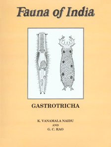 Stock image for Fauna of India and the Adjacent Countries : Gastrotricha for sale by Vedams eBooks (P) Ltd