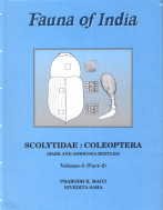 Stock image for Fauna of India and the Adjacent Countries : Scolytidae: Coleoptera (Bark-and Ambrosia-Beetles), Vol. I (Part 2) for sale by Vedams eBooks (P) Ltd