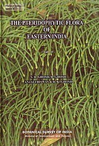 Beispielbild fr The Pteridophytic Flora of Eastern India : Vol. 1 zum Verkauf von Vedams eBooks (P) Ltd