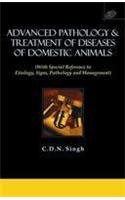 Imagen de archivo de Advanced Pathology & Treatment of Diseases of Domestic Animals a la venta por Books Puddle