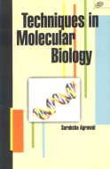 Stock image for Techniques in Molecular Biology for sale by Books Puddle