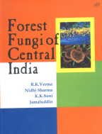 Stock image for Forest Fungi of Central India for sale by Books Puddle