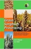 9788181894717: Grain Sorgum Processing