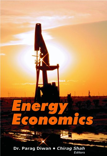 Imagen de archivo de Energy Economics a la venta por Blackwell's
