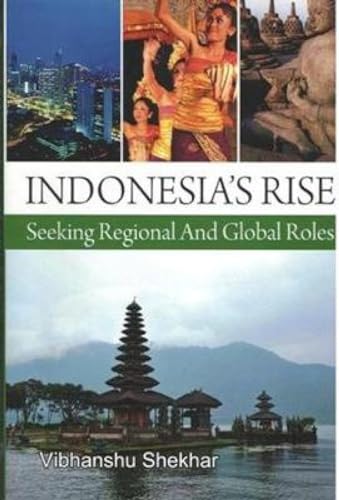 Stock image for Indonesia's Rise for sale by PBShop.store US