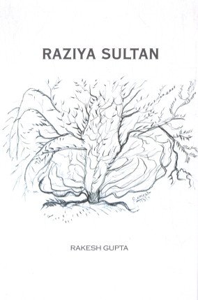 Imagen de archivo de Raziya Sultan a la venta por Books Puddle