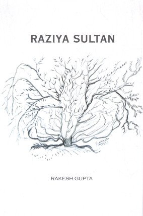 Stock image for Raziya Sultan for sale by Books Puddle