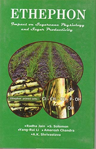 Stock image for Ethephon : Impact on Sugarcane Physiology and Sugar Productivity for sale by Vedams eBooks (P) Ltd