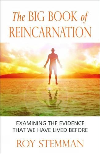 Stock image for The Big Book of Reincarnation for sale by Books Puddle
