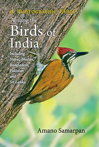 Stock image for Among the Birds of India: A Photographic Guide: Including Nepal, Bhutan, Pakistan, Sri Lanka and Bangladesh for sale by Vedams eBooks (P) Ltd