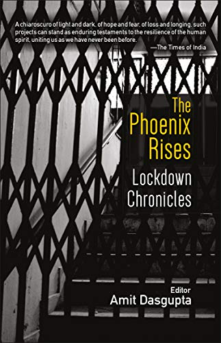 Stock image for The Phoenix Rises for sale by Books Puddle