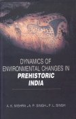 Beispielbild fr Dynamics of Environmental Changes in Prehistoric India zum Verkauf von Books in my Basket