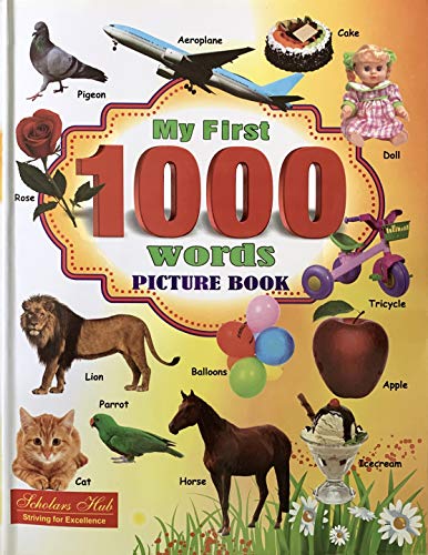 Imagen de archivo de My First 1000 Words Picture Book a la venta por Books Puddle
