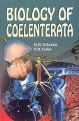 Imagen de archivo de Biology of Coelenterata a la venta por Books Puddle