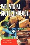 Beispielbild fr Industrial Biotechnology zum Verkauf von Books Puddle