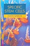 Stock image for Specific Stem Cells for sale by Books Puddle
