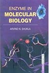 Stock image for Enzyme in Molecular Biology for sale by Books Puddle