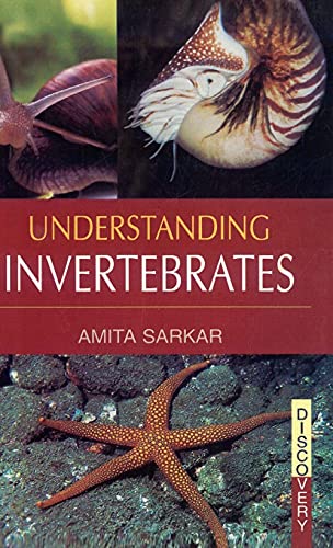 Stock image for Understanding Invertebrates for sale by Books Puddle