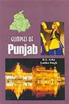 Stock image for Glimpses of Punjab for sale by Books Puddle