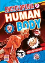 Stock image for Human Body for sale by dsmbooks