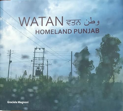 Stock image for Watan: Homeland Punjab for sale by Books in my Basket