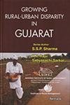 Imagen de archivo de Growing Rural-Urban Disparity in Gujarat a la venta por Books Puddle