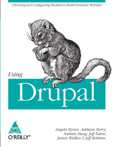 Imagen de archivo de USING DRUPAL a la venta por dsmbooks